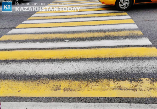 Сделать ПДД обязательным уроком в школах предлагает МВД