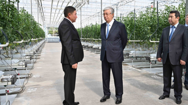 Глава государства посетил тепличный комплекс ТОО «Lst Agro»