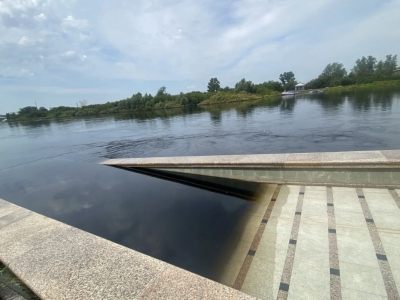 После аномального паводка власти займутся утилизацией мертвой рыбы в водоемах Тюменской области