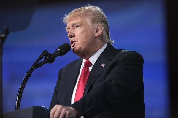 Трамп заявил, что Гренландия является территорией США