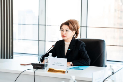Аида Балаева подчеркнула важность партнёрства государства и гражданского сектора