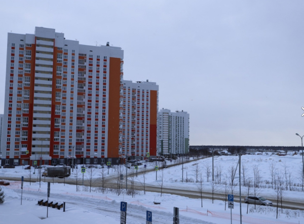 Запретить дарксторы и комнаты для квестов в домах предложил комитет Совфеда