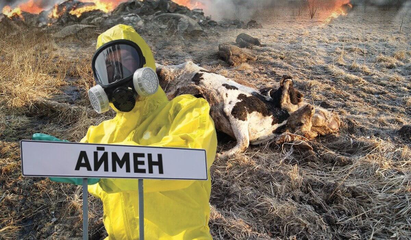 Горящие трупы скота, навоз и аммиак массово травят сельчан Алматинской области (ВИДЕО)