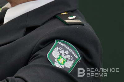 Правительство России отправило главу Россельхознадзора в Новосибирскую область из-за ситуации со скотом