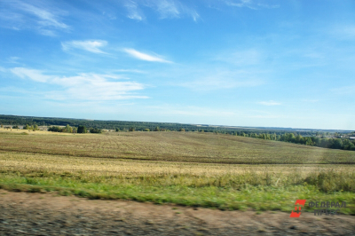 В Пермском крае семье погибшего участника СВО незаконно отказали в земельном участке