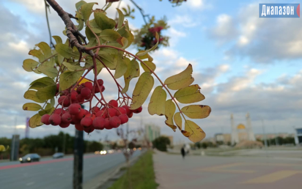 Погода в Актобе на 9-11 октября