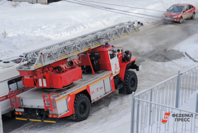 Более 100 телят заживо сгорели на ферме в Новосибирской области
