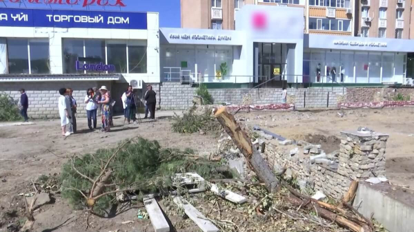 Скандал в Актобе: десятки деревьев уничтожены за одну ночь