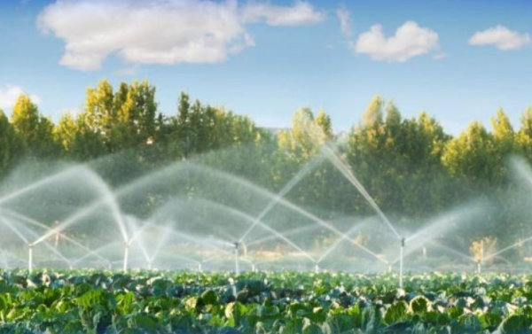 Казахстан усиливает меры по модернизации водохозяйственной инфраструктуры