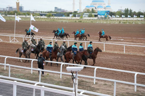 Адайскую породу лошадей сделают национальным брендом Казахстана
