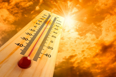 Жара до +40°С ожидается в Туркестанской области