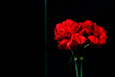 За три недели до 99-летия: в Казани скончался ветеран ВОВ Хаджи Гатауллин