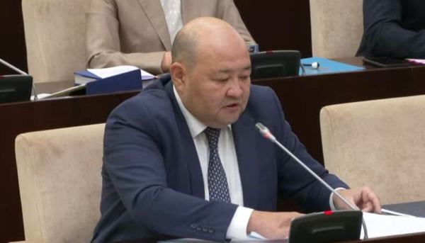 Смогут ли казахстанцы снимать акимов с помощью петиций?
