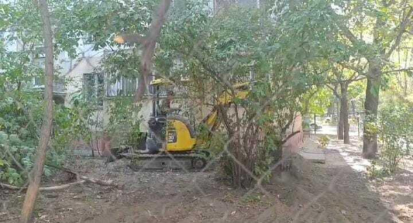 Нам не нужен газон, нам нужны деревья - алматинцы пожаловались на уничтожение зеленых насаждений в палисаднике многоэтажки