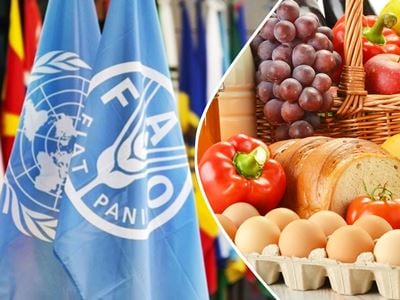 Мировые цены на продовольствие вернулись к росту