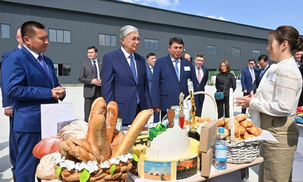 Президент ознакомился с продукцией предприятий Павлодарской области