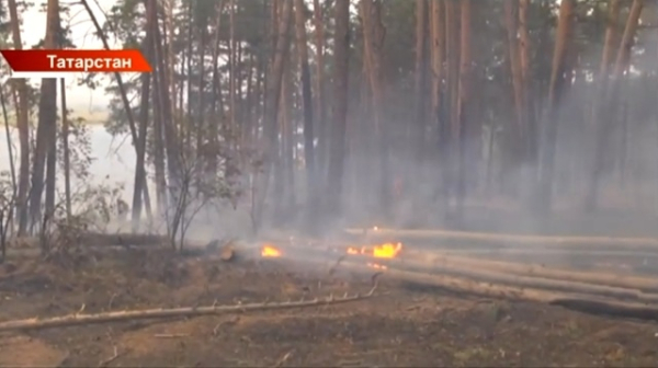 Пожароопасный сезон-2026 в лесах Татарстана стартует 15 апреля
