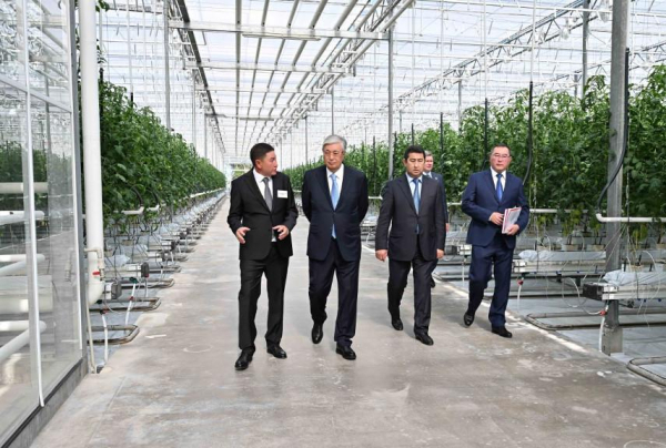 Президент Казахстана посетил тепличный комплекс ТОО «Lst Agro»