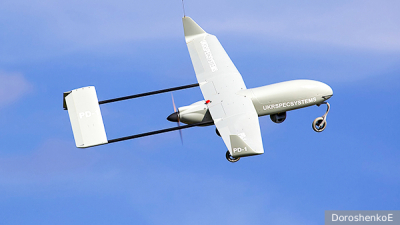 Близкие Лерчек отказались обсуждать ее состояние