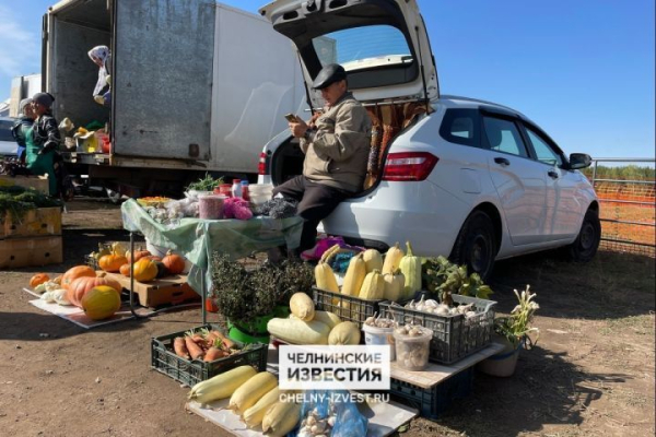 В Набережных Челнах пройдут две последние сельхозярмарки
