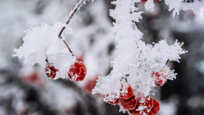 Экстремальные морозы накроют Татарстан в эту пятницу 22/01/2026 &ndash; Новости