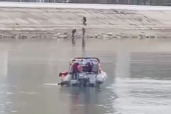 В Атырау спасатели вытащили собаку из реки у Центрального моста