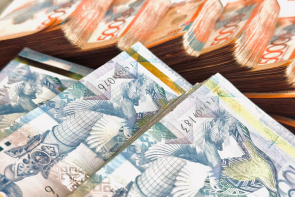 Тарифы больниц на медуслуги пересмотрят в Казахстане