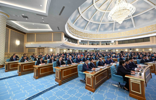 Правительство неэффективно использовало 475 миллиардов тенге бюджета в 2024 году — депутат