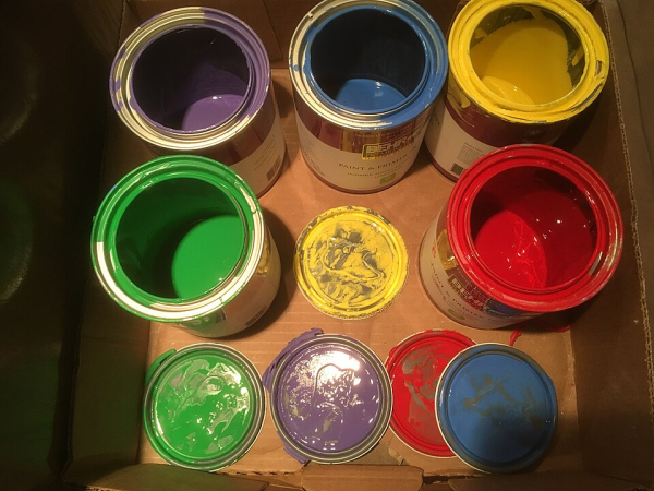 В Приморском крае спасли тюленя, съевшего пакет с краской