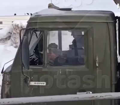 В Заинске задержан водитель-живодер, до смерти забивший кота в кабине грузовика