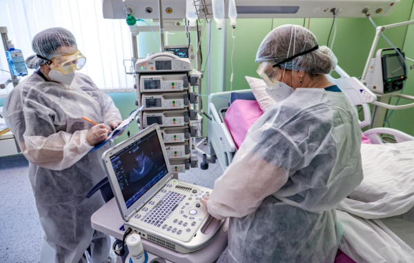 Мышиная лихорадка может привести к смерти, предупредили в Минздраве Татарстана