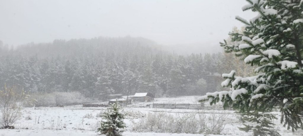 Первый снег в ВКО привел к гололеду на трассах