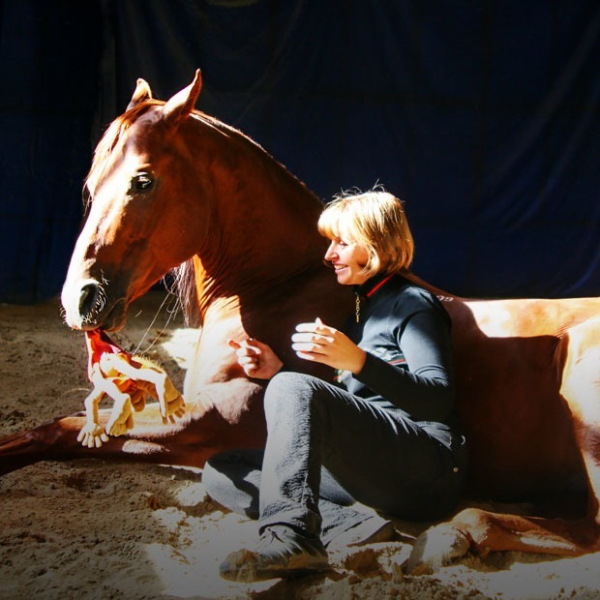 Ученый Елена Молчанова — о том, как научить лошадей читать, а людей — уважать живых существ