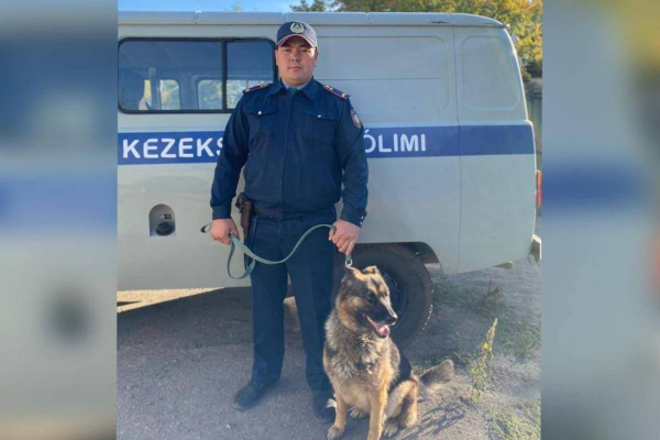 Служебная собака Дюна нашла краденое в Акмолинской области