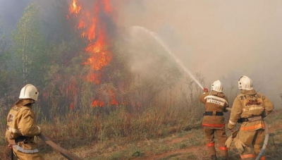 Почти втрое меньше требуемого имеется пожарных лесных станций в Казахстане – депутат