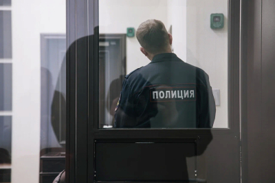 Силовики задержали хозяина бультерьера, который напал на девочку в Нижнекамске