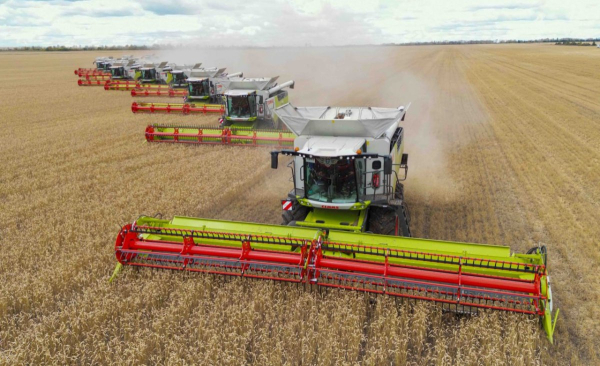 84% сельских жителей доверяют своим акимам