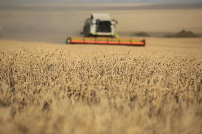Национальная сельхозперепись: какие и сколько вопросов зададут казахстанцам