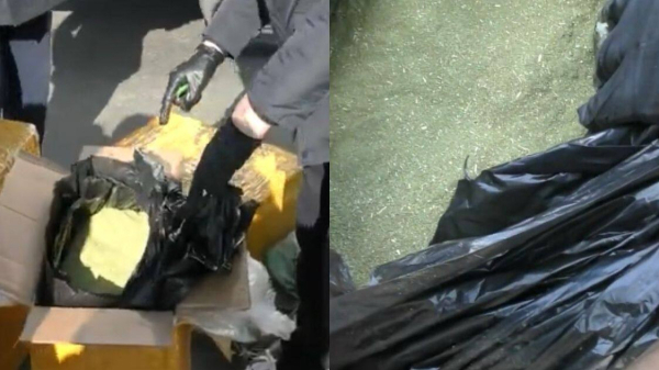 Спецоперацию провели на въезде в Алматы и изъяли 151 кг гашиша