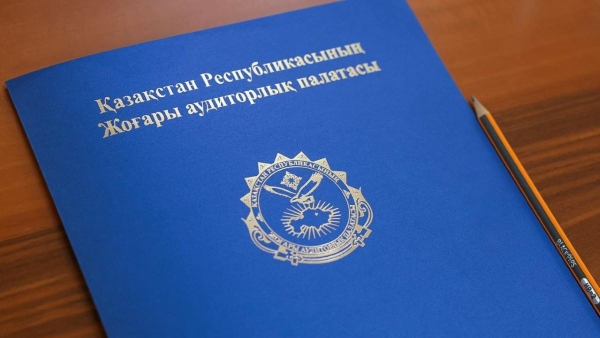 18 должностных лиц наказали за неисполнение предписаний госаудиторов