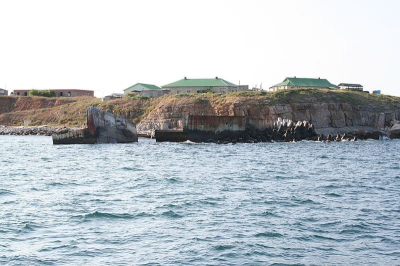 Онколог Серяков оценил фантастический случай выздоровления мужчины на острове