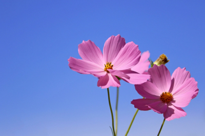 Жаркая погода сохранится в Карагандинской области