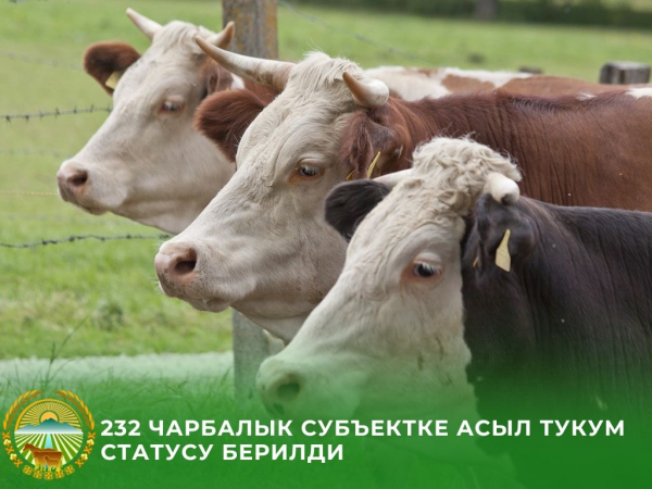 В КР утвердили список бесплатных вакцин для сельхозживотных