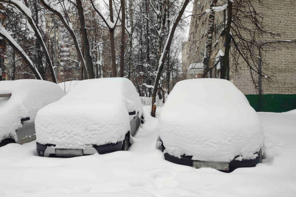 Новосибирскую область ждут дожди, снегопады и порывистый ветер: дата