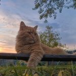 Целая неделя лета в сентябре ждет Татарстан: прогноз Гидрометцентра