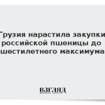 Грузия нарастила закупки российской пшеницы до шестилетнего максимума