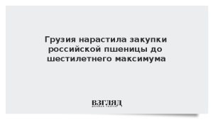 Грузия нарастила закупки российской пшеницы до шестилетнего максимума