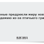Ученые предрекли миру новую пандемию из-за птичьего гриппа