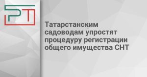 Татарстанским садоводам упростят процедуру регистрации общего имущества СНТ