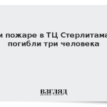 При пожаре в ТЦ Стерлитамака погибли три человека